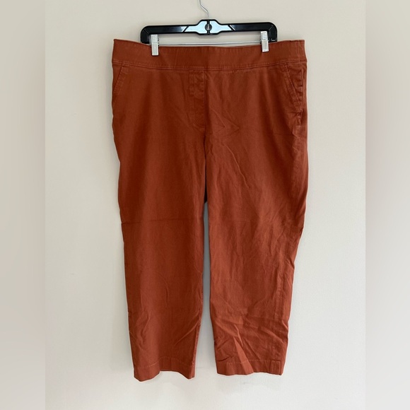 SPANX On-The-Go Ankle Slim Straight Pants in Dark Bronze Orange, size 2X - Picture 3 of 11